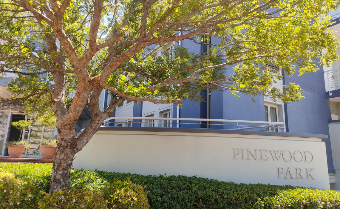 pinewood